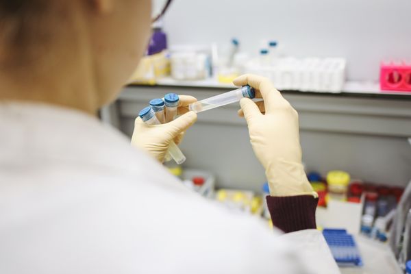 DNA